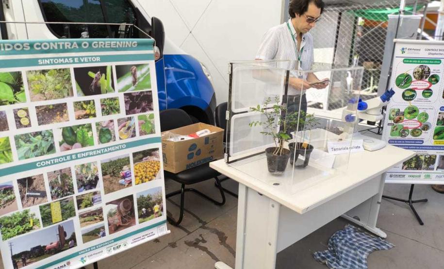 Adapar leva à ExpoLondrina 2024 programação sobre combate ao greening e biosseguridade na avicultura