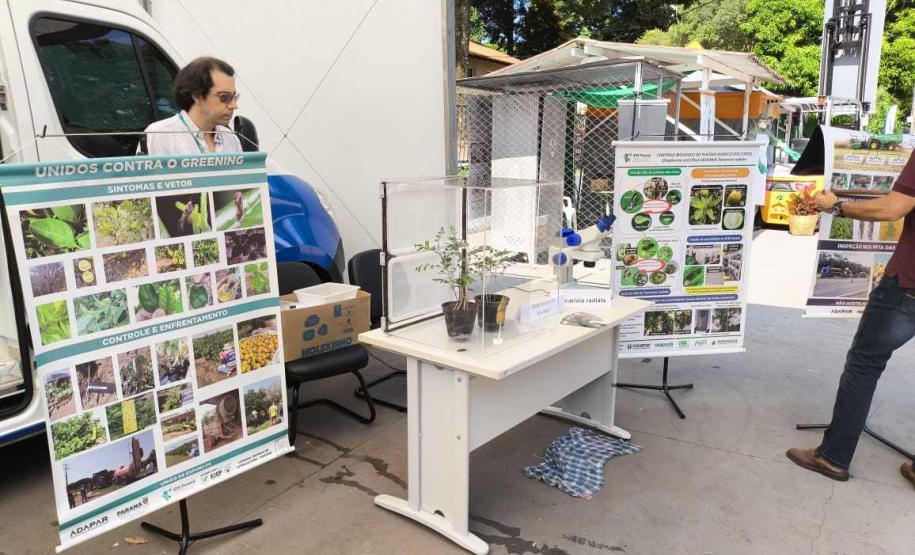 Adapar leva à ExpoLondrina 2024 programação sobre combate ao greening e biosseguridade na avicultura