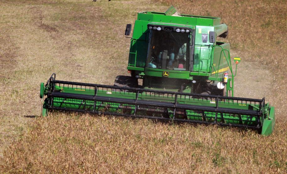 Paraná inicia colheita da segunda safra com perspectiva de recorde para a produção de feijão