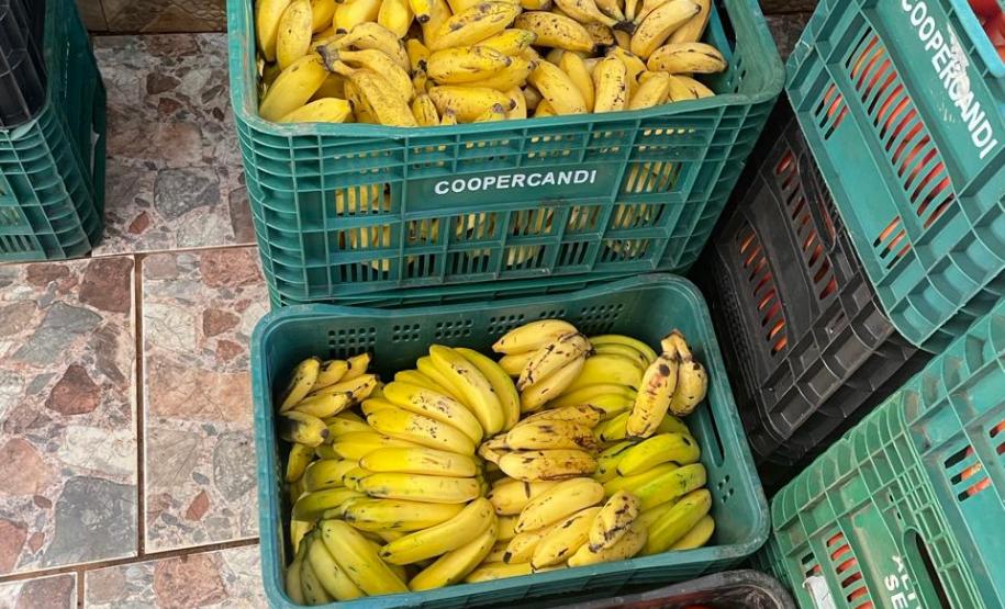 Dia dos Povos Indígenas: Secretaria da Agricultura atende comunidades em 24 municípios com ações de segurança alimentar