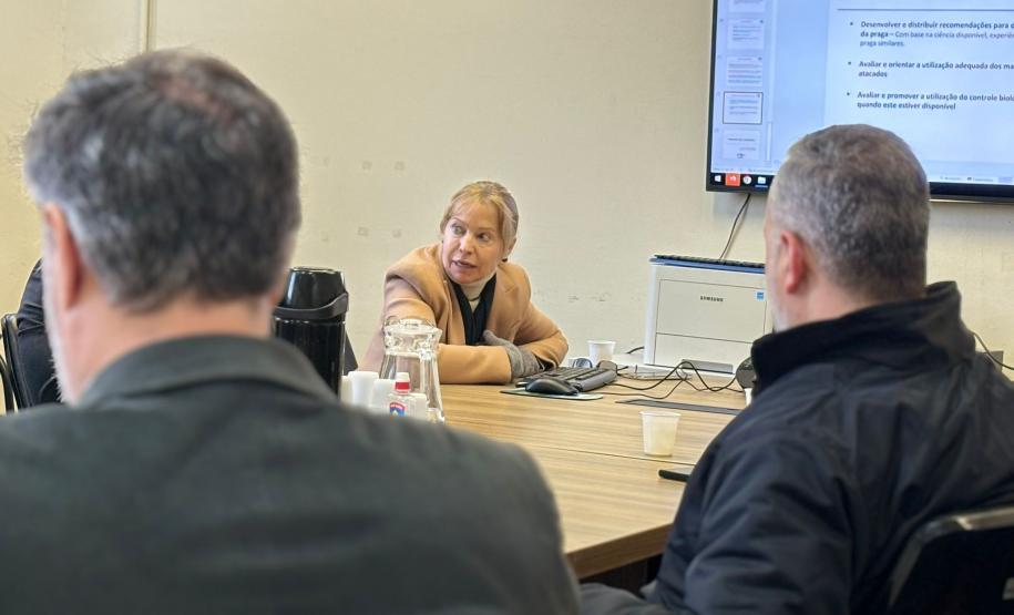 Grupo de Trabalho discute ações para prevenção e monitoramento da nova vespa-da-madeira