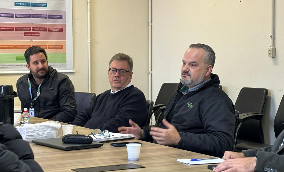 Grupo de Trabalho discute ações para prevenção e monitoramento da nova vespa-da-madeira