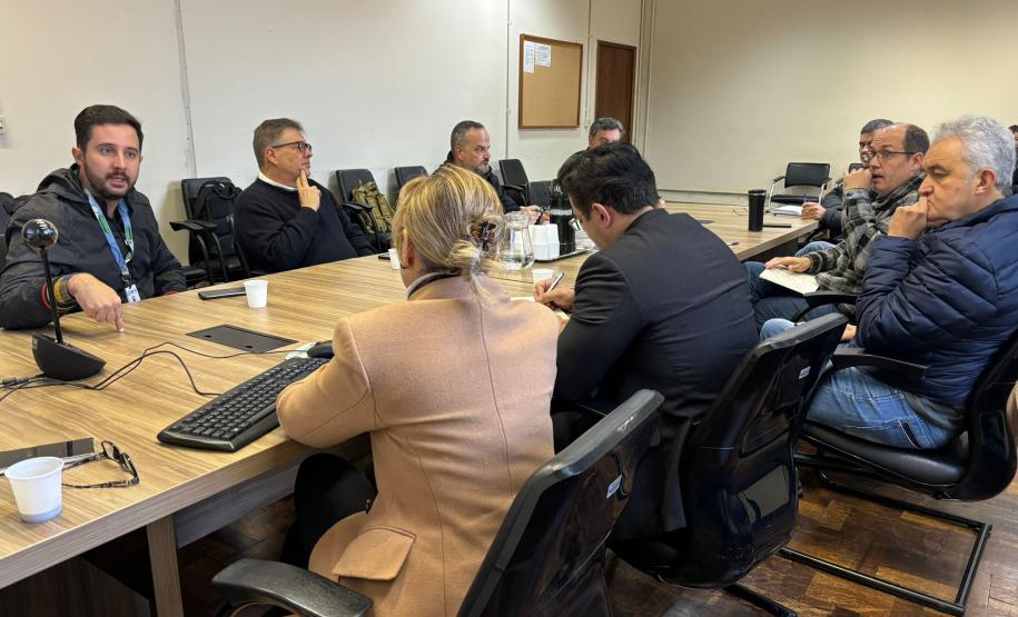 Grupo de Trabalho discute ações para prevenção e monitoramento da nova vespa-da-madeira