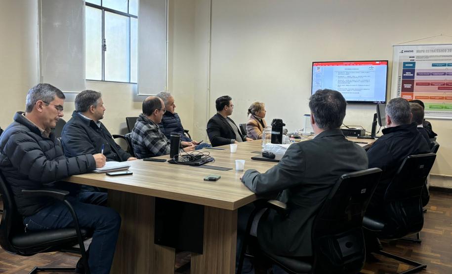 Grupo de Trabalho discute ações para prevenção e monitoramento da nova vespa-da-madeira