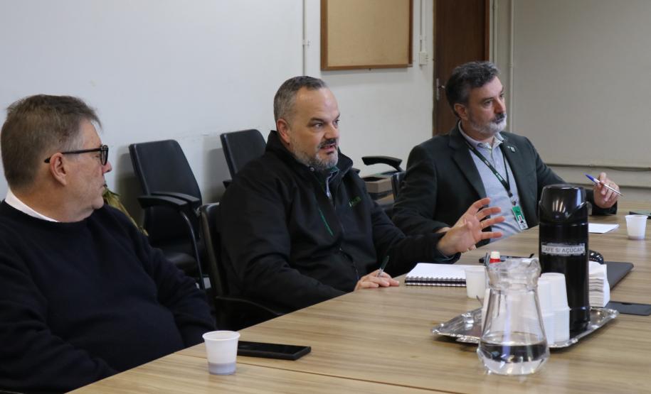 Grupo de Trabalho discute ações para prevenção e monitoramento da nova vespa-da-madeira