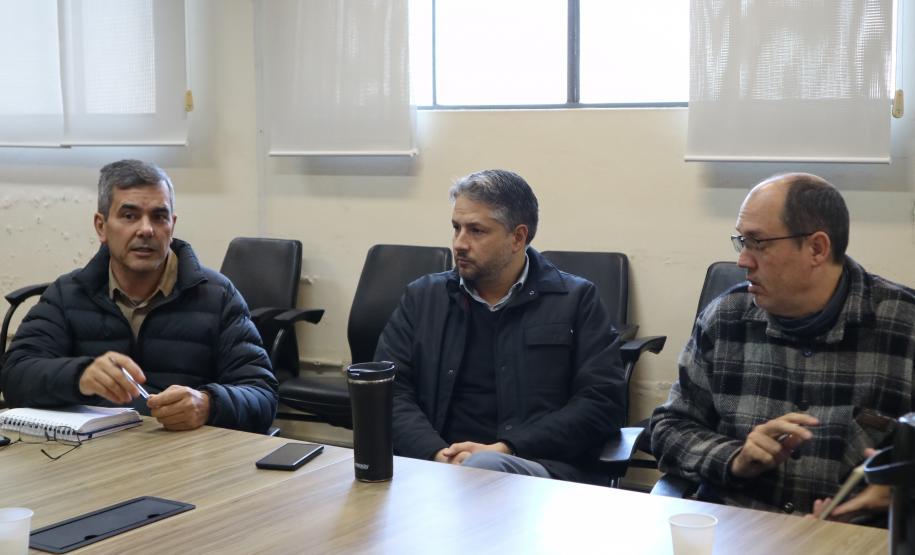 Grupo de Trabalho discute ações para prevenção e monitoramento da nova vespa-da-madeira