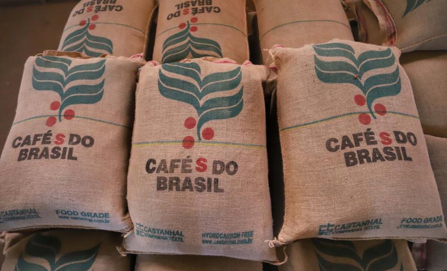 Paraná pode produzir até 750 mil sacas de café em 172 municípios em 2024, aponta boletim