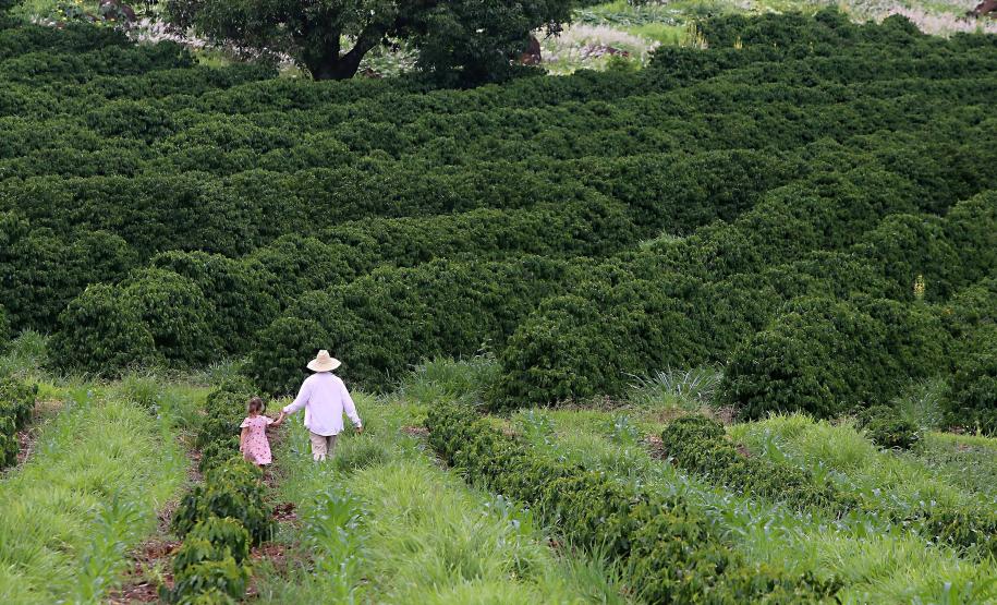 Novo projeto do Estado vai promover trilhas formativas para mais de mil mulheres rurais
