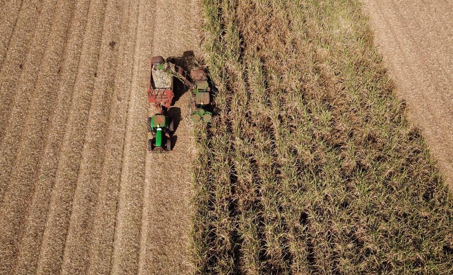 VBP Agropecuário do Paraná cresce 11% em 2023 e alcança R$ 197,8 bilhões