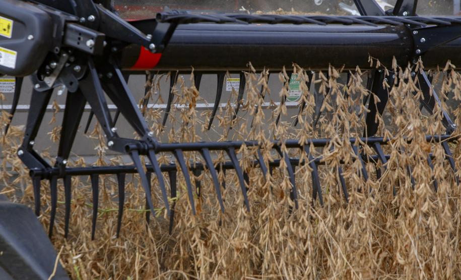 VBP Agropecuário do Paraná cresce 11% em 2023 e alcança R$ 197,8 bilhões