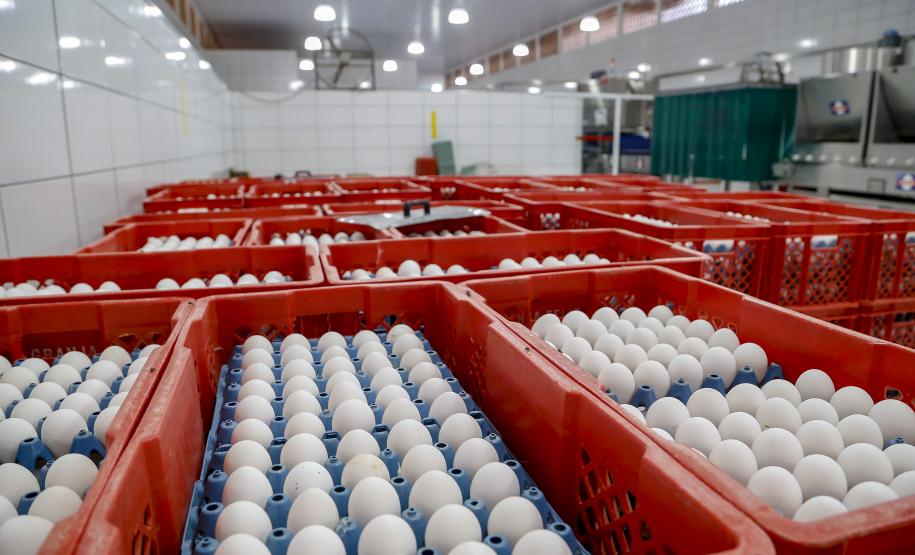 VBP Agropecuário do Paraná cresce 11% em 2023 e alcança R$ 197,8 bilhões