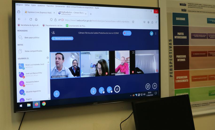 Câmara Técnica discute ações para o desenvolvimento da produção de uvas no Paraná