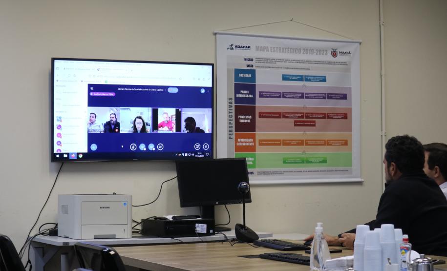 Câmara Técnica discute ações para o desenvolvimento da produção de uvas no Paraná