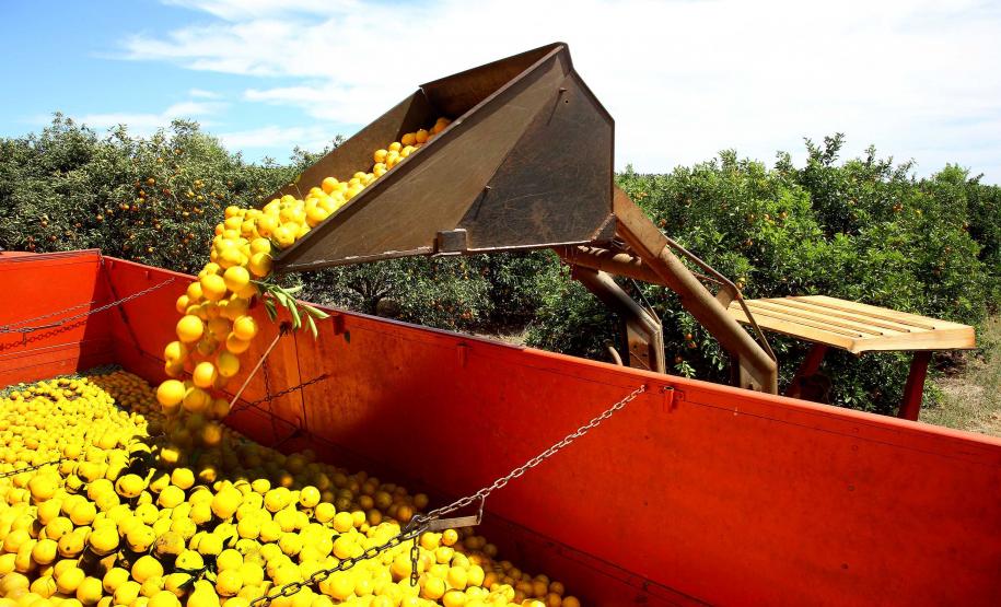 VBP Agropecuário do Paraná cresce 11% em 2023 e alcança R$ 197,8 bilhões