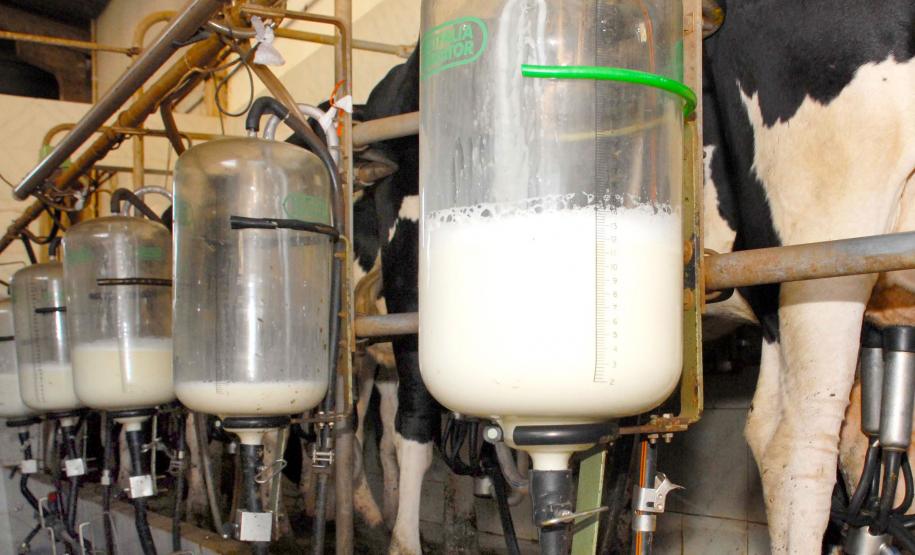 Boletim Agropecuário analisa preços do leite no Paraná