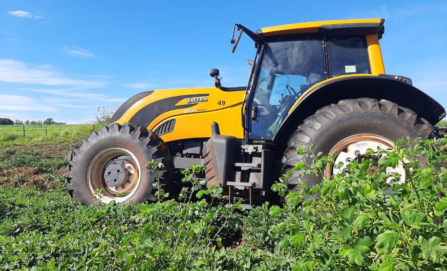 Alimento típico em festas juninas, amendoim tem maior área plantada no Paraná em 12 anos