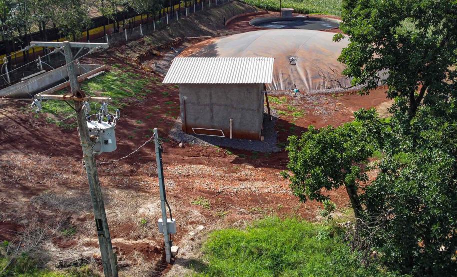 Produção de biogás a partir da suinocultura gera renda extra para produtores do Paraná
