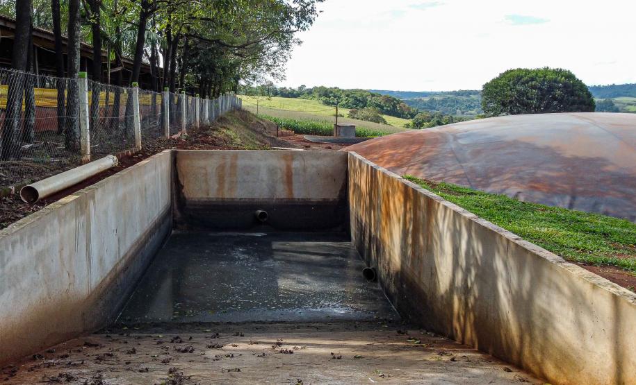 Produção de biogás a partir da suinocultura gera renda extra para produtores do Paraná
