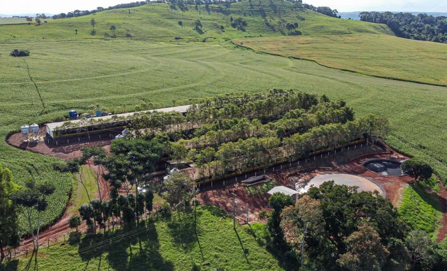 Produção de biogás a partir da suinocultura gera renda extra para produtores do Paraná
