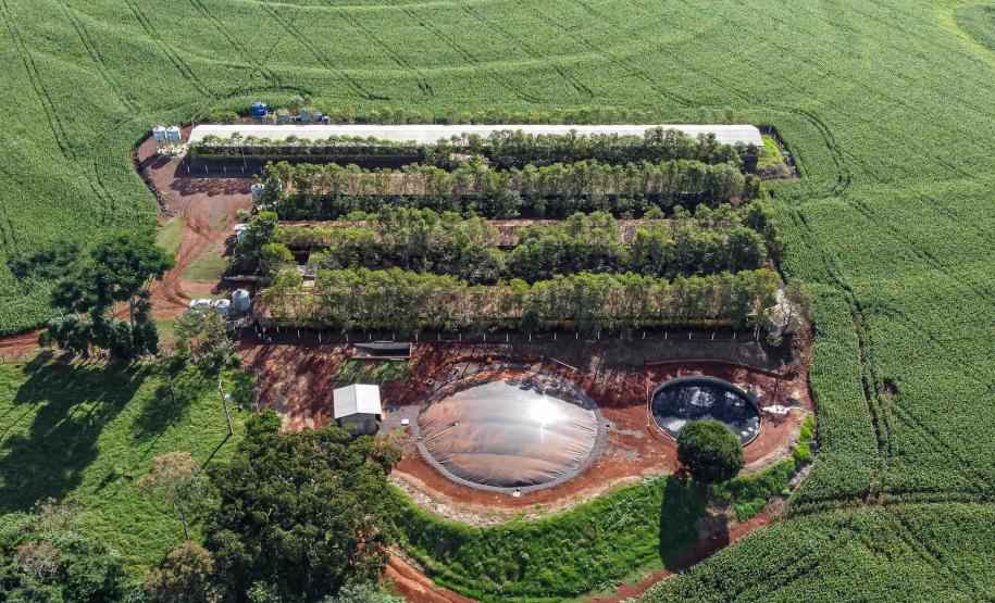 Produção de biogás a partir da suinocultura gera renda extra para produtores do Paraná