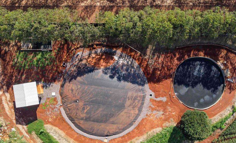 Produção de biogás a partir da suinocultura gera renda extra para produtores do Paraná