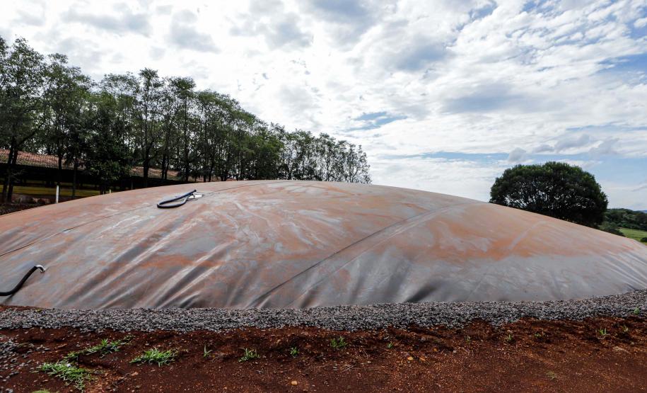 Produção de biogás a partir da suinocultura gera renda extra para produtores do Paraná