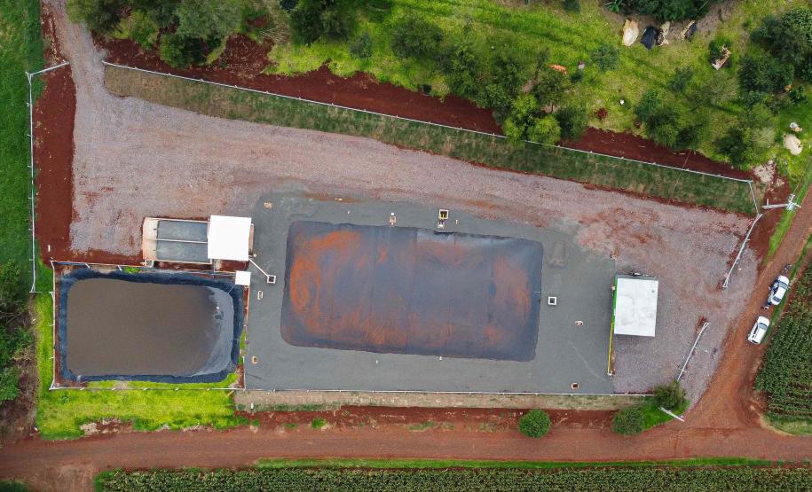 Vizinhos compartilham biodigestor para produzir energia limpa da suinocultura