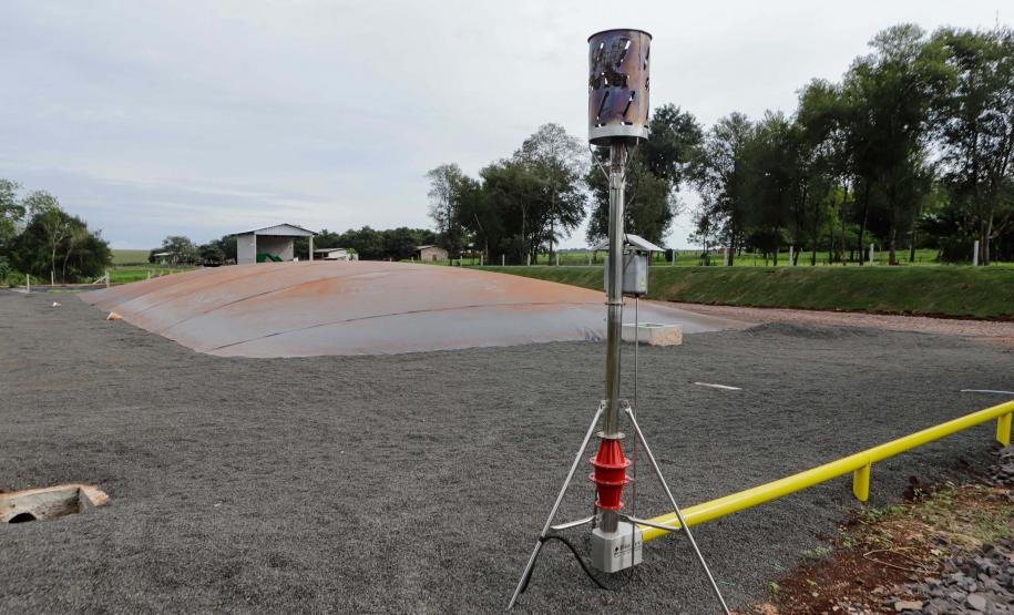 Vizinhos compartilham biodigestor para produzir energia limpa da suinocultura