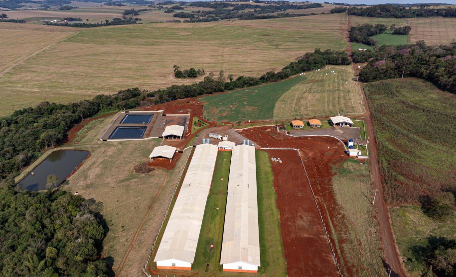 Com apoio do Estado, suinocultor instala biodigestor para produzir sustentavelmente