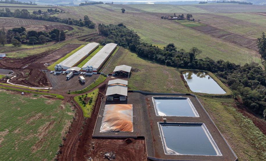 Com apoio do Estado, suinocultor instala biodigestor para produzir sustentavelmente