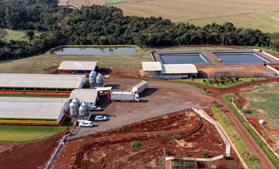 Com apoio do Estado, suinocultor instala biodigestor para produzir sustentavelmente