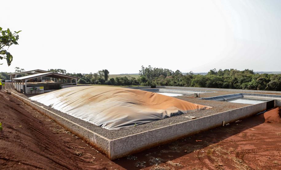 Com apoio do Estado, suinocultor instala biodigestor para produzir sustentavelmente