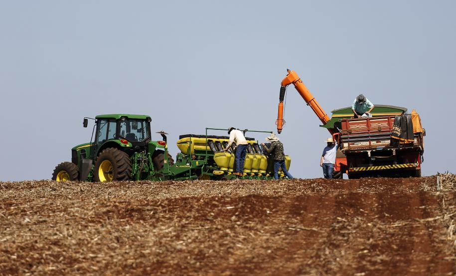Chuvas favoreceram plantio de verão, mas foram insuficientes para o trigo