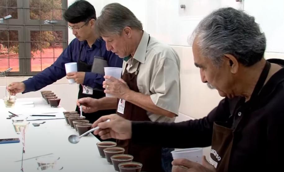 Inscrições para o Concurso Café Qualidade Paraná vão até 30 de setembro