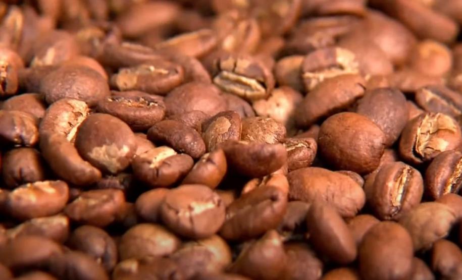 Inscrições para o Concurso Café Qualidade Paraná vão até 30 de setembro