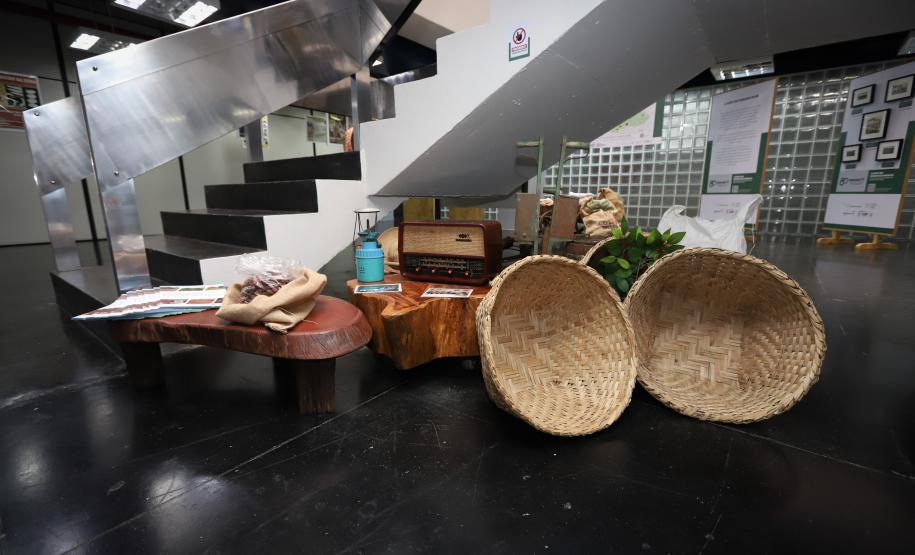 Em comemoração aos 80 anos de história, Secretaria da Agricultura lança exposição no Arquivo Público do Paraná