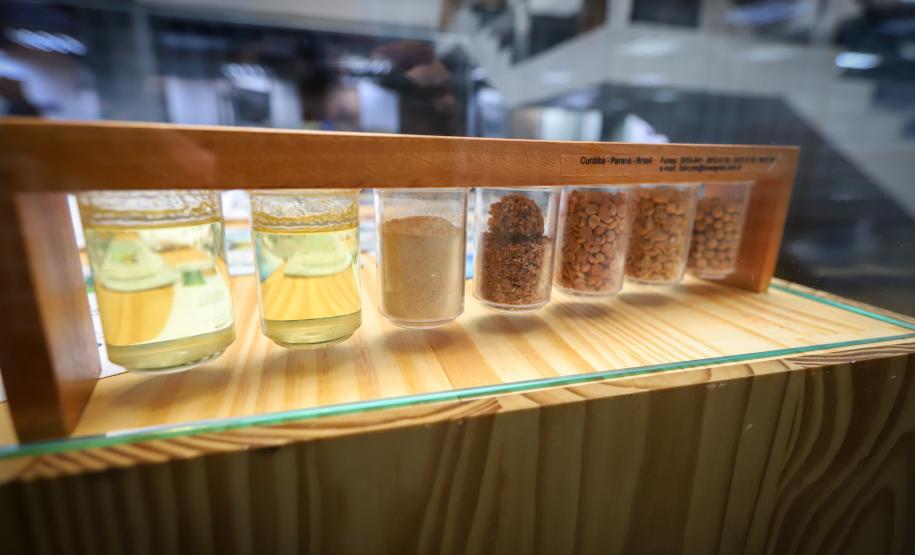 Em comemoração aos 80 anos de história, Secretaria da Agricultura lança exposição no Arquivo Público do Paraná