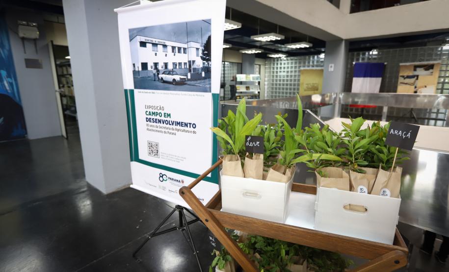 Em comemoração aos 80 anos de história, Secretaria da Agricultura lança exposição no Arquivo Público do Paraná