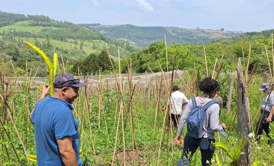 MDS e Funai fazem visita de monitoramento ao Programa de Aquisição de Alimentos para indígenas no Paraná