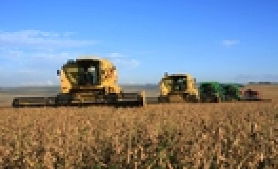 Agricultura prevê safra de 19 milhões de toneladas de soja