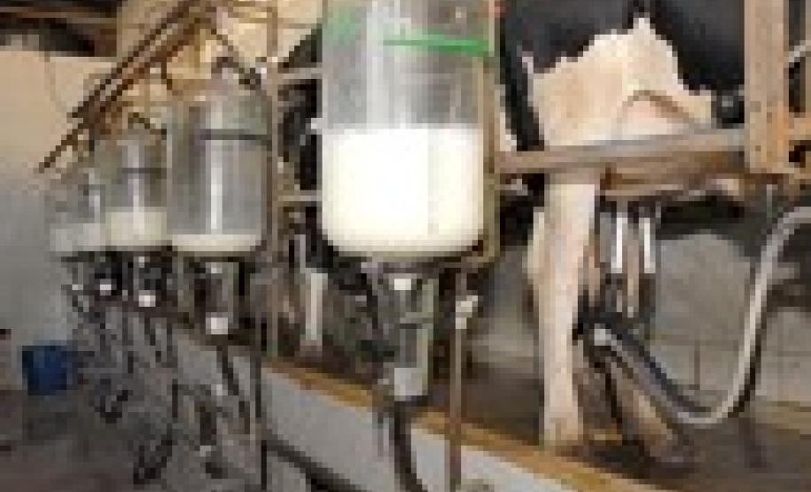 Programa Leite das Crianças regulariza fornecimento