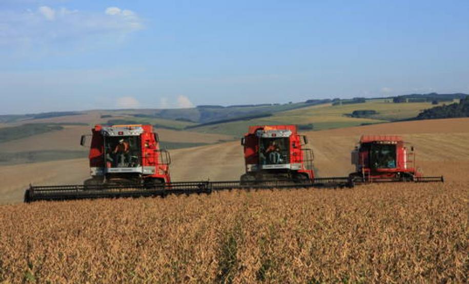 Safra de verão chega ao final com quase 25 milhões de toneladas