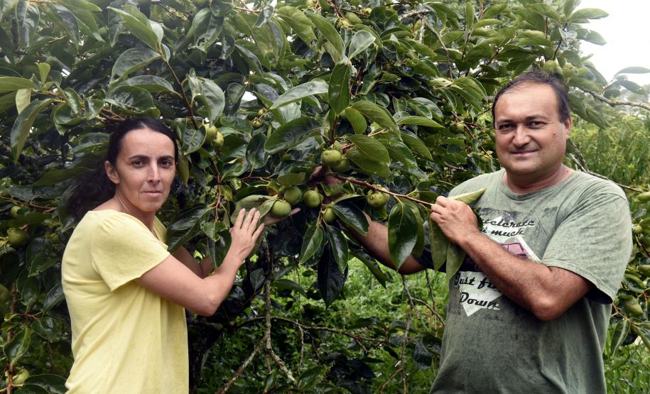 Produtores de 10 municípios do Paraná recebem recursos do BID para investirem em desenvolvimento sustentável