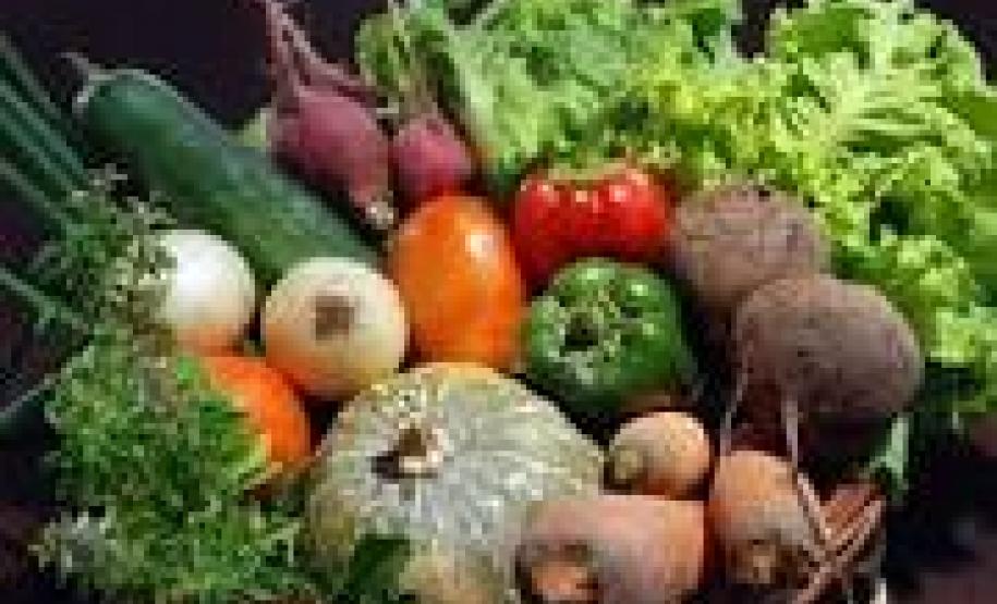 Paraná vai apoiar produção de alimentos para atender populações vulneráveis