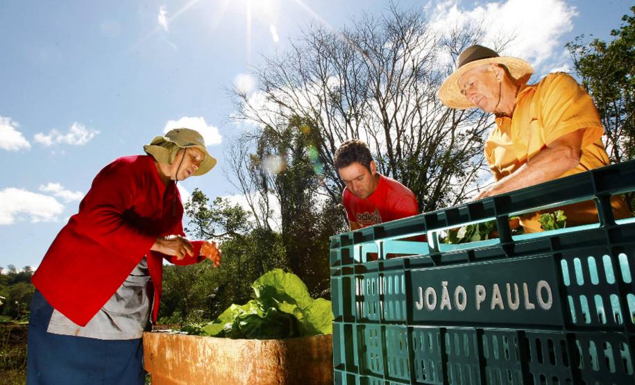 Paraná aplicará R$ 23 milhões na agricultura familiar Nova legislação desburocratiza processos e Paraná agiliza investimentos para agricultura familiar