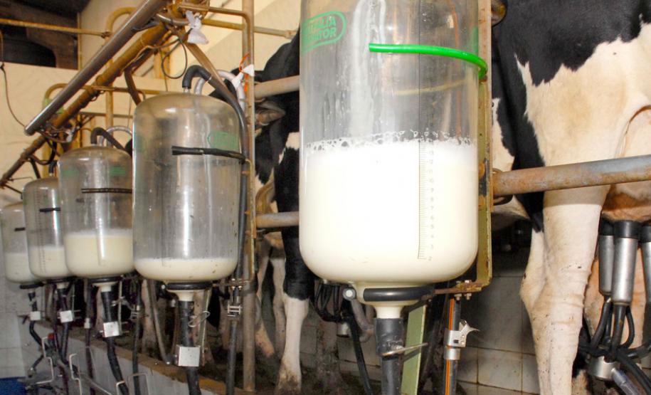 Paraná se mantém como segundo maior produtor de leite do País Pesquisa do IBGE revela ranking dos Estados na produção de leite no País