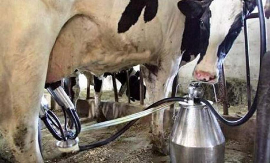 Aliança Láctea Sul Brasileira busca harmonizar regras de inspeção Aliança Láctea Sul Brasileira busca harmonizar regras de inspeção