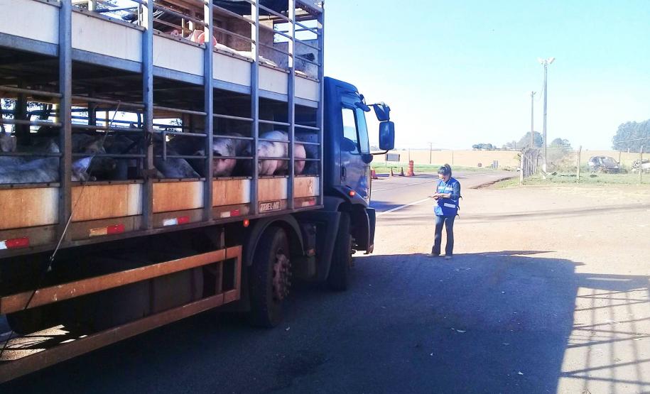 Agência agropecuária disponibiliza Guia de Trânsito Animal online Adapar implanta emissão de guia de trânsito animal on-line que pode ser emitida pelo próprio produtor