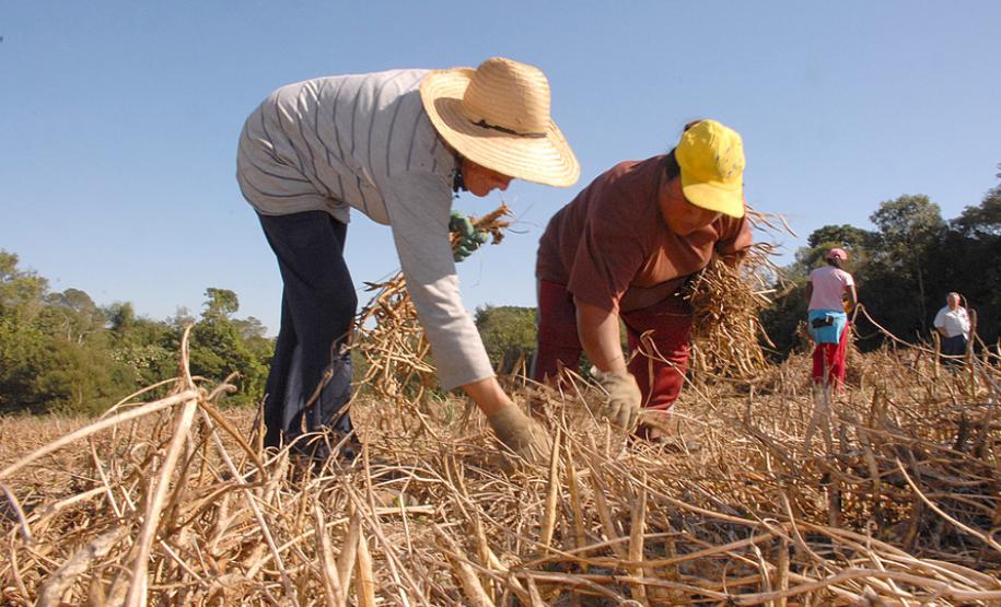 Agricultura investe R$ 130 milhões em programas sociais Secretaria da Agricultura investe recursos do governo do Estado em programas sociais no meio rural