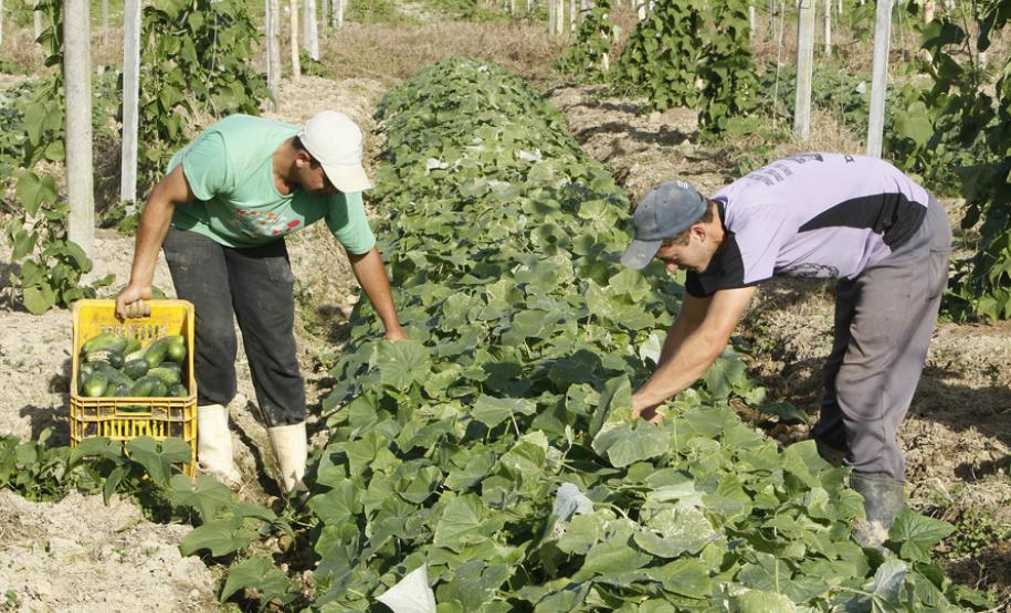 Agricultura repassa R$ 53 milhões aos municípios Relatório do Deagro sobre desempenho dos convênios realizados em 2017